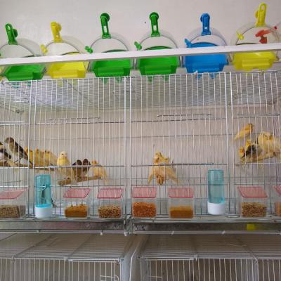 Hogar De Pajaritos 93052395